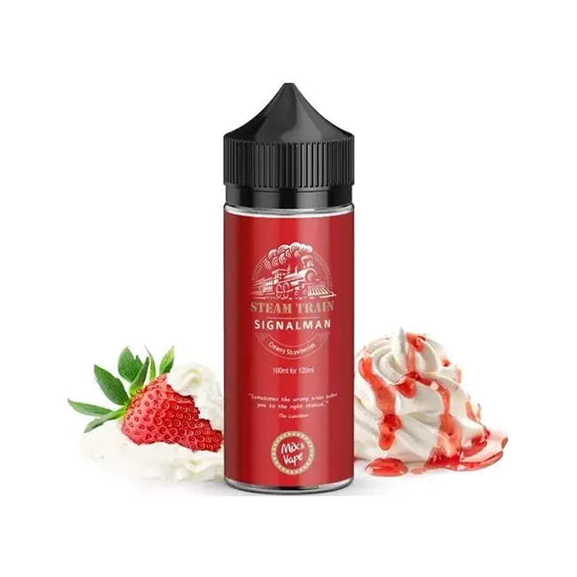 Steam Train Signalman